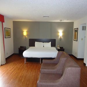 King Room Disability Access